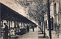 1924 pescherie di Padova